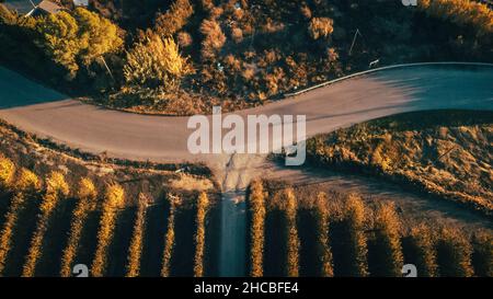 Winding road amidst agricultural field