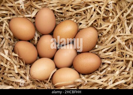 Fresh brown chicken eggs in th hay nest Stock Photo
