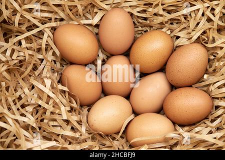 Fresh brown chicken eggs in th hay nest Stock Photo