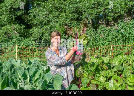 Smiling farm worker holding fresh chard in vegetable garden Stock Photo