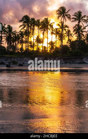 Sunset behind palm trees in brazilian beach Stock Photo
