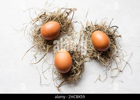 Studio shot of egg carton with blue painted chicken eggs Stock Photo