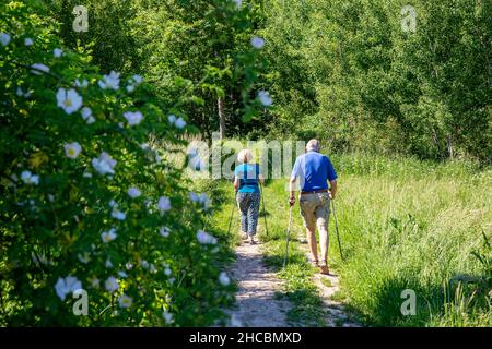 Senior couple with Nordic Walking poles walking by grass in forest Stock Photo