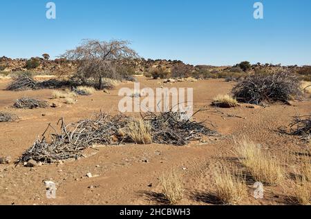 Kalahari desert African landscape near Keetmanshoop, Namibia. Stock Photo