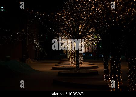 Winter night park with lanterns, pavement and trees covered with lights. Stock Photo