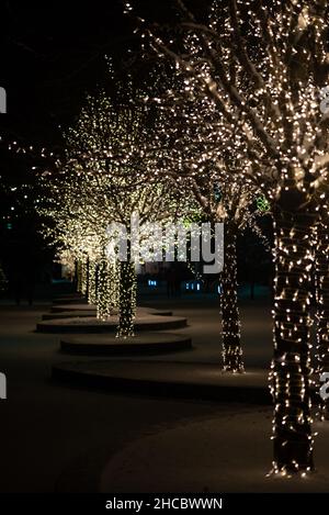 Winter night park with lanterns, pavement and trees covered with lights. Stock Photo