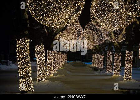 Winter night park with lanterns, pavement and trees covered with lights. Stock Photo