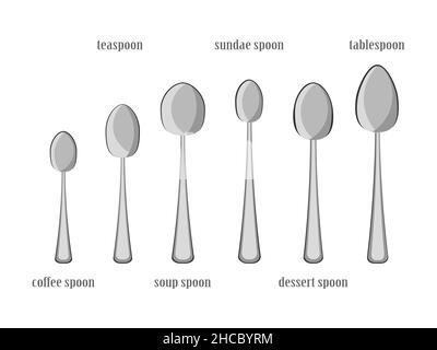 Cartoon kitchen colection spoons. Coffee spoon, teaspoon, soup spoon, ice cream spoon, dessert spoon, tablespoon. Eating utensils icons elements isola Stock Vector