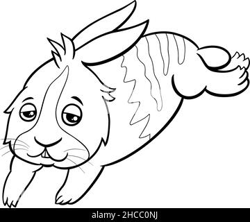 Black and white cartoon illustration of funny sleepy dwarf rabbit comic animal character coloring book page Stock Vector
