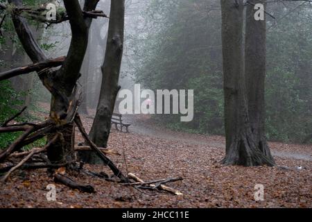 Fog in London Boxing Day 2021 Stock Photo