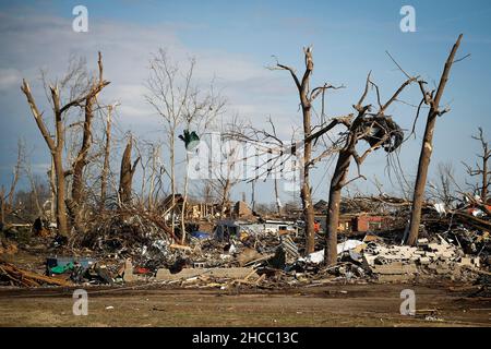 Dawson Springs, USA. 14th Dec, 2021. Trees with broken limbs sit surrounded by debris near downtown Mayfield, Kentucky, Tuesday, Dec. 14, 2021. (Photo by Alex Slitz/Lexington Herald-Leader/TNS/Sipa USA) Credit: Sipa USA/Alamy Live News Stock Photo