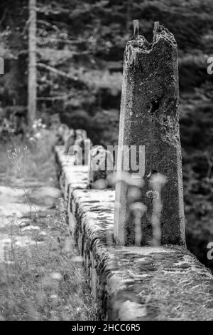Grayscale shot of an abandoned bridge Stock Photo