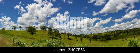 Brasilia, Federal District, Brazil – December 25, 2021: A panoramic photo of the landscape along the BR-153 highway, somewhere between DF and GO. Stock Photo