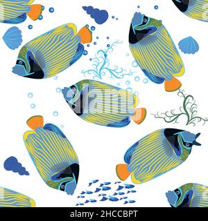 Emperor angelfish, Pomacanthus imperator seamless patterns, sea animal wildlife character. Nature underwater, marine wild ocean zoo fish Stock Vector