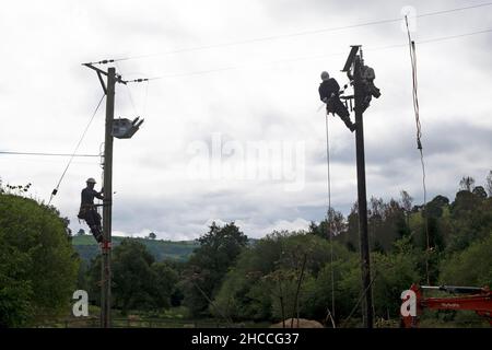 Power workers working on utility pole and connecting electricity lines equipment cables on rural property in Wales UK Great Britain 2021 KATHY DEWITT Stock Photo