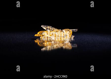 cannabis wax pieces of marijuana extract on black background. Stock Photo