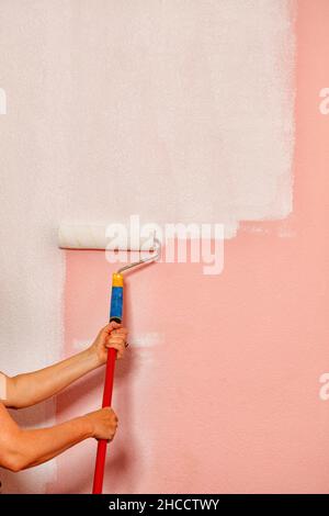 An old fleecy paint roller in the female hands painting pink wallpaper on the wall with white paint. Copy space. Stock Photo
