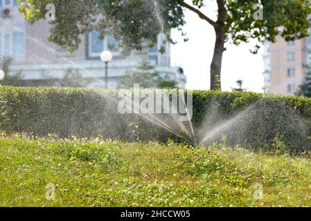 An automatic irrigation system irrigates the green lawn in the young garden of the city park. Stock Photo