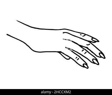 Big Set Various Hand Gestures Hand Stock Vector (Royalty Free) 2043310859 |  Shutterstock