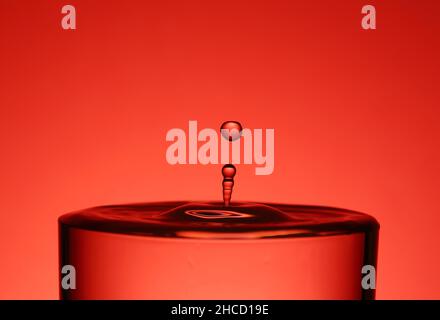 Droplet splashing into glass of water in  red color background macro copy space Stock Photo