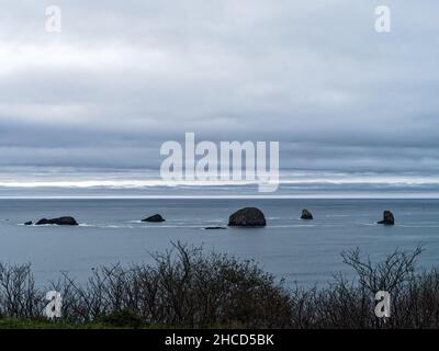 The Redfish Rocks off Coal Point on the Pacific coast of Oregon, USA Stock Photo
