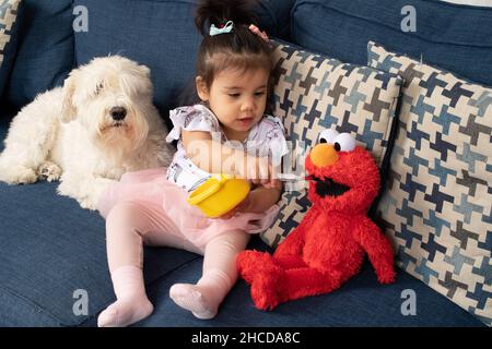 17 month old toddler girl pretend play feeding toy Elmo doll with fork, family pet dog in background