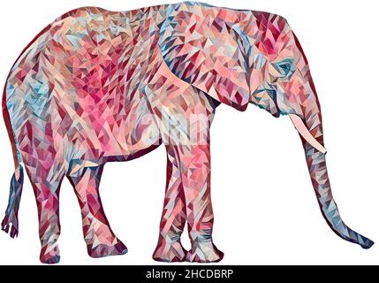 African Elephant Variations Stock Photo