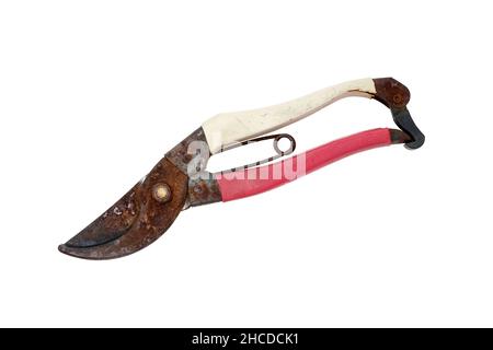 old rusty scissors isolated on a white background Stock Photo