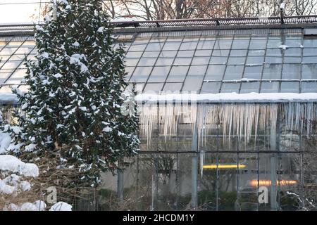 Greenhouse with icicles hanging from roof in beautiful winter botanical garden on cold frosty day Stock Photo