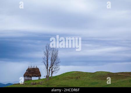 Traditional thatched hut against a picturesque sky. Photo taken on 30th of April 2021 in the old village of Dumesti, Alba county, Romania. Stock Photo