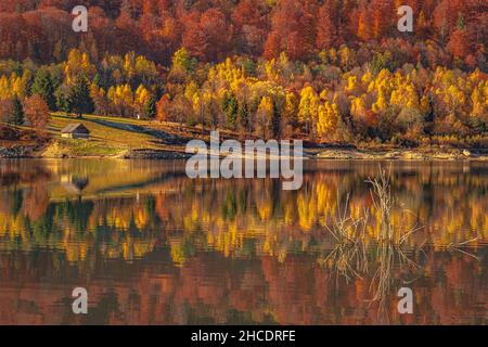 Small forest cottage on the Poiana Marului Lake shore reflected in a perfect symmetry. Photo taken on 31st of October 2021 in Poiana Marului reservati Stock Photo