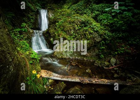 The Virgin Mary waterfall encountered during a hike through Cerna Valley. Photo taken on 31st of May 2021, near Heculane, in the National Park Domogle Stock Photo