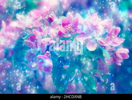 creative composite of pink flowers with blue background and stars Stock Photo