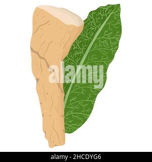 Cartoon illustration with colorful horseradish with leaf. Farm market product. Vector hand drawn graphic. Single isolated art. Stock Vector