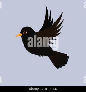 Black bird flying. Cut out on a light blue background. It is a male bird. Stock Vector