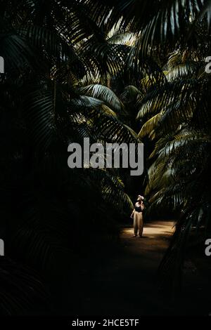 Female traveler standing on path among tall green tropical palms in darkness and looking away in summer day in Azores, Sao Miguel Stock Photo