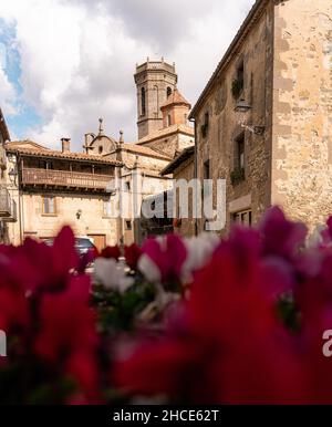 View through flowers growing in bed on street of Rupit town with medieval building made of natural rock Stock Photo