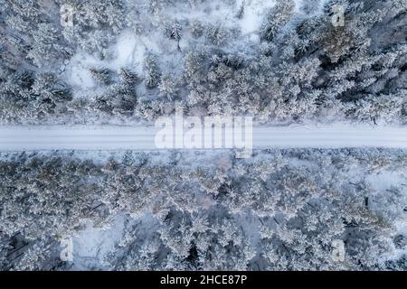 Top down aerial view of snow covered forest and road in winter. Snowy trail in taiga forest. Stock Photo