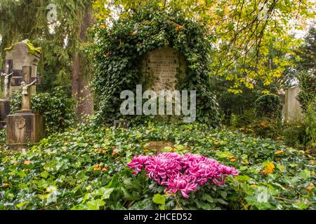 Albert Speer grave in Heidelberg, Germany Stock Photo