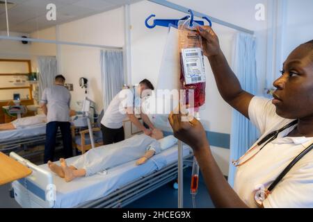 Student nurses training realistic medical dummy Stock Photo