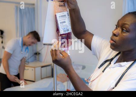 Student nurses training realistic medical dummy Stock Photo