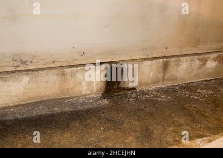 Water leaking through foundation wall in crawlspace of house. Home repair, basement waterproofing and mold damage concept. Stock Photo