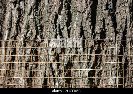 Rusty metal grid in the background of rough wooden texture Stock Photo