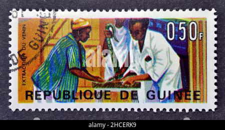 Cancelled postage stamp printed by Guinea, that shows Extraction of Snake Venom, circa 1967. Stock Photo