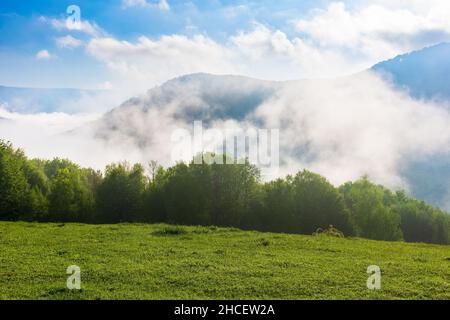 green mountain landscape. gorgeous weather with fog rising above the distant valley. deciduous forest behind the grassy meadow on the hill. beautiful Stock Photo