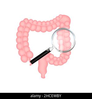 Intestines seeing and protection, Healthy protected intestine. Digestive system protection. Vector stock illustration. Stock Vector