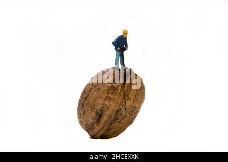 Miniature worker with hammer standing on walnut to crack it = white background, copy space Stock Photo