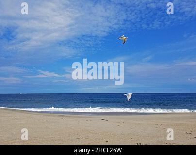 Waves come crashing into an empty beach, save for a few seagulls, in Point Pleasant, New Jersey, on a sunny early autumn day -04 Stock Photo