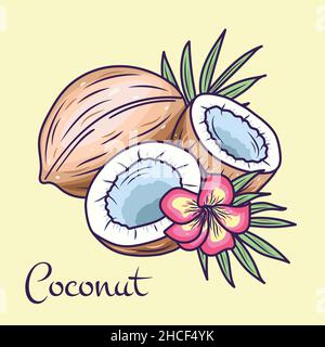 Coconut. Isolated whole and cracked coconuts product emblem for fruit product label, packaging sticker, grocery shop tag, farm store Stock Vector