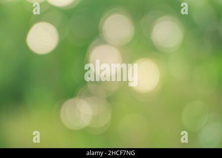 bokeh lights on green background Stock Photo